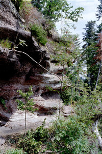 2004-1 randonnées, 20040718-024 Rand 19 _ roches du corbet _ 25 juil 04