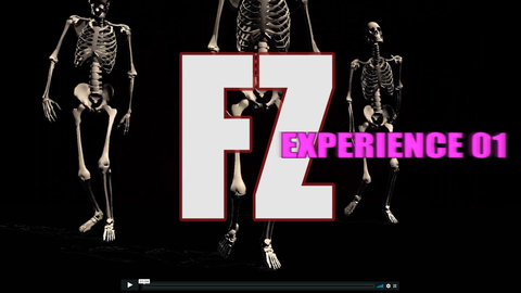 JANVIER 2020, FZ EXPERIENCE 01