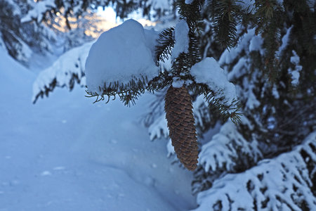 2020-01-17-19-ski-chalet-coueimian, ski-chalet-alpage-coueimian-tete-raisins-alpes-aventure-2020-01-18-09