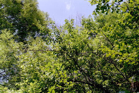 2004-1 randonnées, 20040601-022 Rando tradition des vergers _ maidières _ 17 juil