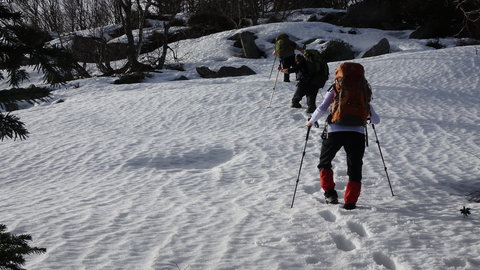 2020_02_02 Cabane de Gireys - Falgarouse, DSC03794