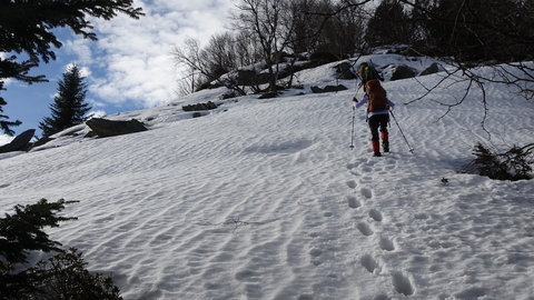 2020_02_02 Cabane de Gireys - Falgarouse, DSC03795