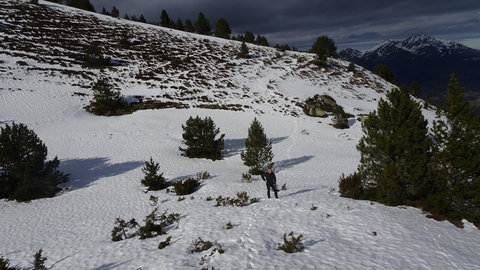 2020_02_02 Cabane de Gireys - Falgarouse, DSC03808