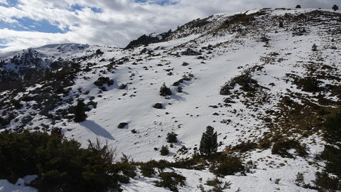 2020_02_02 Cabane de Gireys - Falgarouse, DSC03810