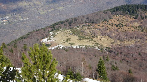 2020_02_02 Cabane de Gireys - Falgarouse, DSC03812