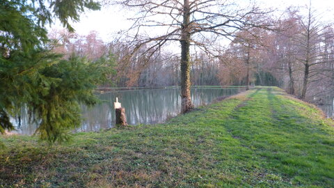 2020-01 un étang à Cheyssieu, P1030119
