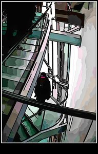 Visite à la Fondation Louis Vuitton (le bâtiment), Fondation_LV_06