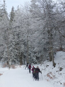 2020_02_07 Séjour raquettes en Vercors, 2020_02_06 Sejours Vercors  120