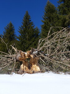2020_02_07 Séjour raquettes en Vercors, 2020_02_07 Sejours Vercors  169