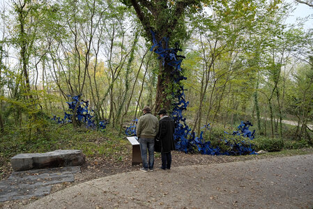 @fmbdx@piaille.fr 2019, Parc Ausone, Bruges