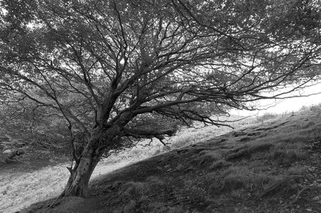 @fmbdx@piaille.fr 2019, Pays Basque : Rando vers la Rhune