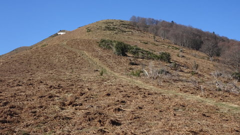 Pic de Bassibié de fév 2015 à fév 2020, DSC03846