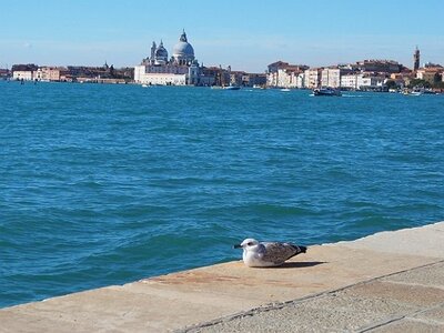 VENISE 2020, 0015