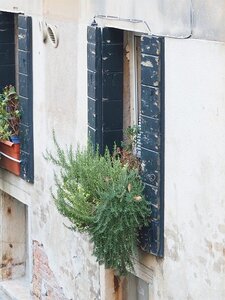 VENISE 2020, 0083