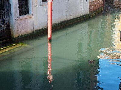 VENISE 2020, 0194