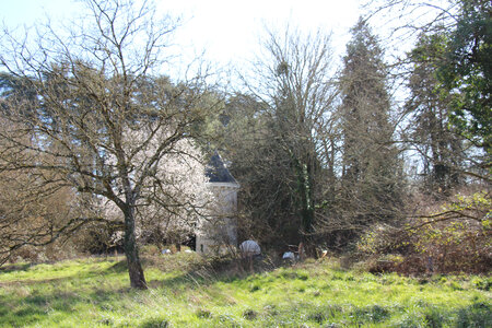 Balade en Sologne, IMG_1122