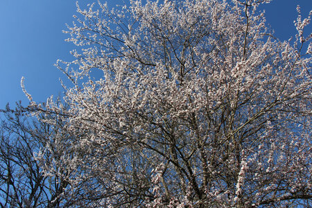 Balade en Sologne, IMG_1126