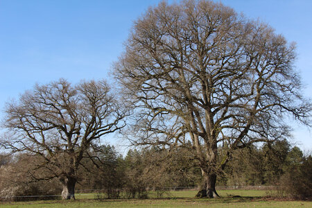 Balade en Sologne, IMG_1132