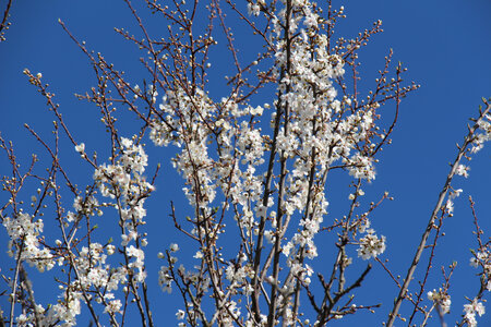 Balade en Sologne, IMG_1134