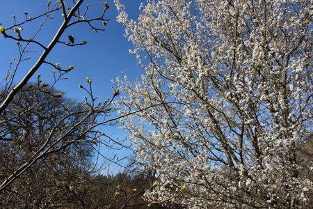 Balade en Sologne, IMG_1148
