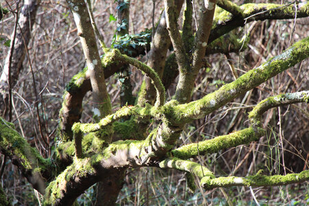 Balade en Sologne, IMG_1157