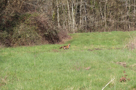 Balade en Sologne, IMG_1172
