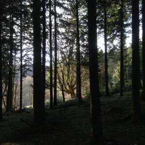 Morvan, IMG_5853