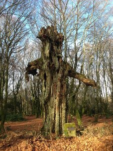 Morvan, IMG_5863