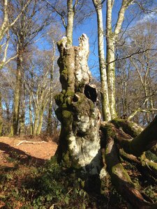 Morvan, IMG_5868