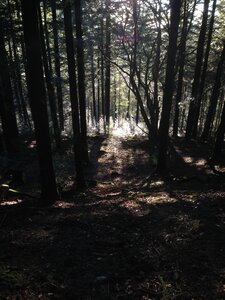 Morvan, IMG_6042