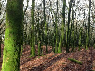 Morvan, IMG_5980