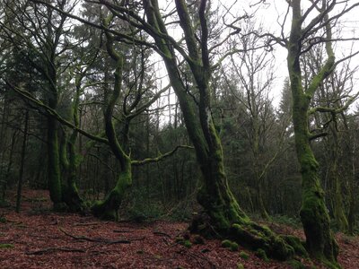 Morvan, IMG_5976