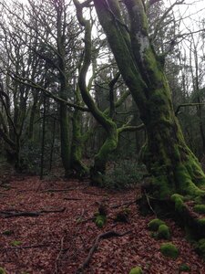 Morvan, IMG_5977