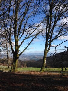 Morvan, IMG_6016