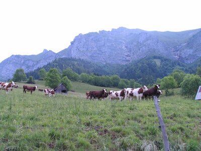 2012-06 cousinade à Doucy, 120602 weand001