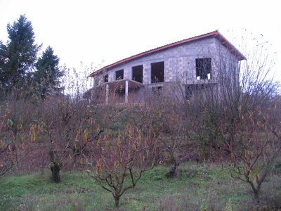 2012-07 construire à st Prim, 121111 maison07