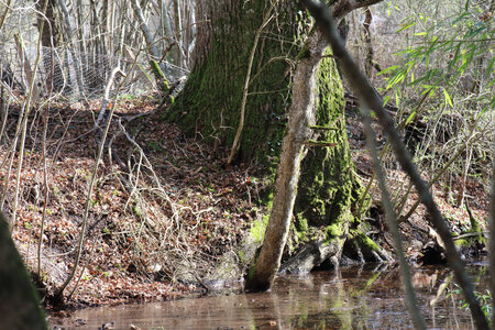 Balade en Sologne, IMG_1185
