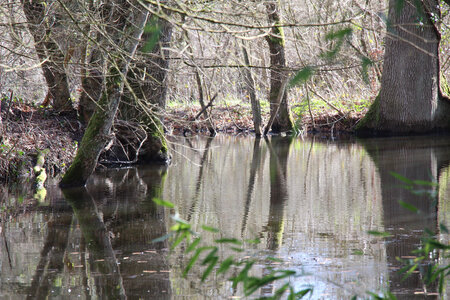 Balade en Sologne, IMG_1186