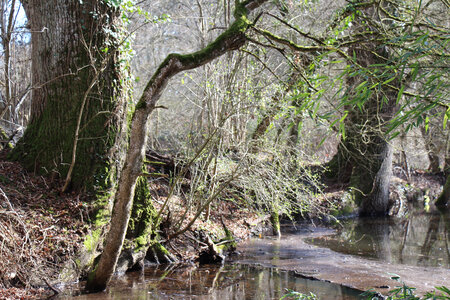 Balade en Sologne, IMG_1187