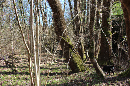 Balade en Sologne, IMG_1188