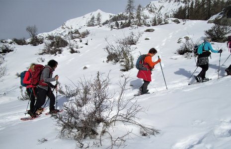 Raquettes-Col de la Gardette, IMG_3821