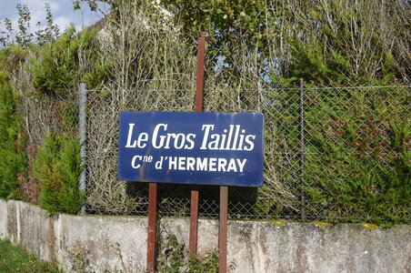 Gros taillis 2012, P1030910