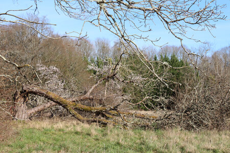 Balade en Sologne, IMG_1227