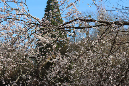 Balade en Sologne, IMG_1233