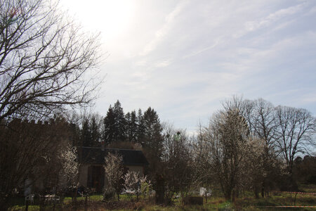 Balade en Sologne, IMG_1243
