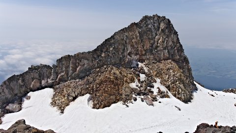 Nouvelle Zélande, novembre à janvier 2019-20, _1280091 raw Sous le sommet du Taranaki  ile du nord