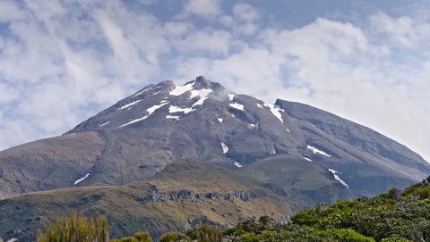 Nouvelle Zélande, novembre à janvier 2019-20, _1280108 raw Taranaki   proche de Holly Hut  Egmont NP  ile du nord