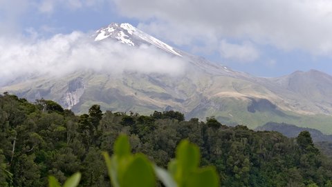 Nouvelle Zélande, novembre à janvier 2019-20, _1280153 raw Taranaki  Egmont NP  ile du nord
