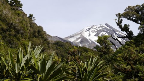 Nouvelle Zélande, novembre à janvier 2019-20, _1280226 retouche Taranaki depuis Lower Lake Dive Track  Egmont NP  ile du nord