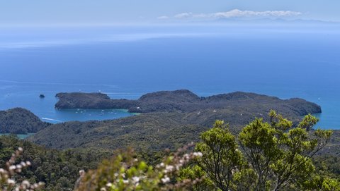 Nouvelle Zélande, novembre à janvier 2019-20, _1270877 raw Pitt Head  Inland Track  Abel Tasman  ile du sud